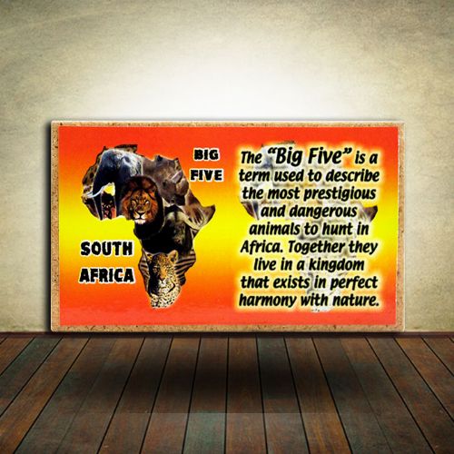 Big 5 Magnet S. AFRICA ORANGE/YELLOW