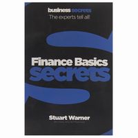 Finance Basics Secrets