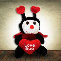 Teddy  Love Bug with Heart