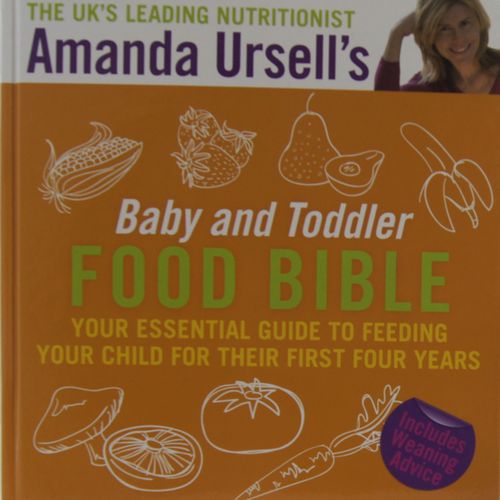 Baby and Toddler Food Bible