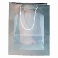 Medium Window bag Silver