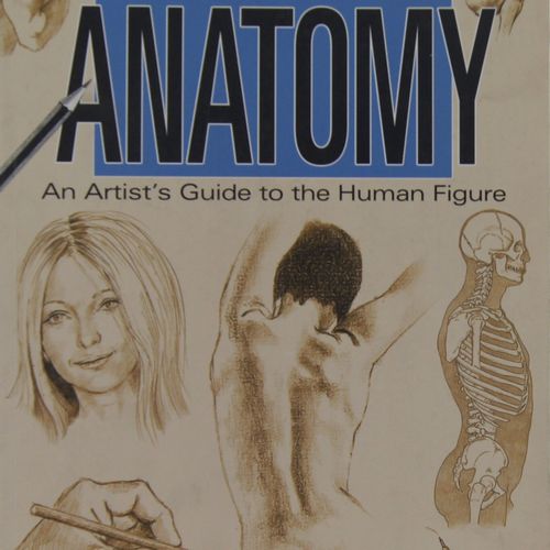 Barrington Barber - Drawing Anatomy