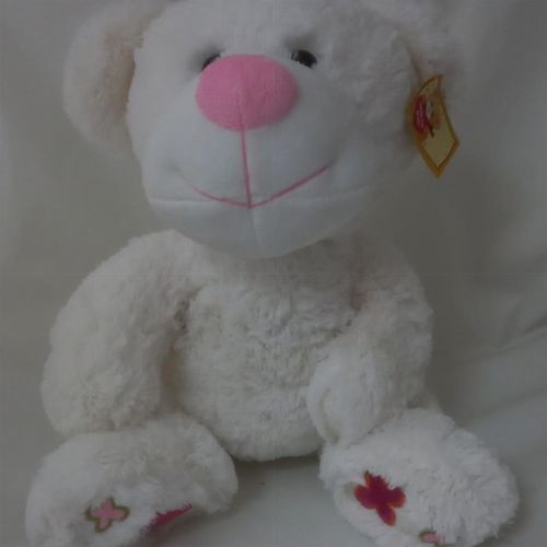 WHITE TEDDY WITH PINK NOSE