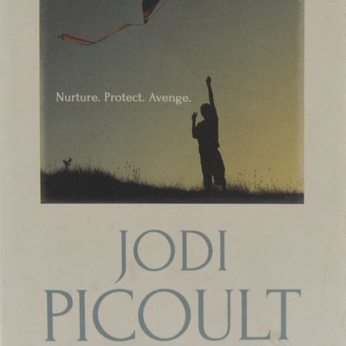 Jodi Picoult - Perfect Match