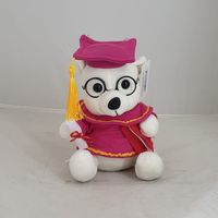 TEDDY GRADUATION RED/WHITE