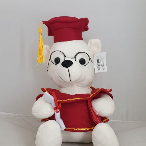 TEDDY GRADUATION RED/WHITE