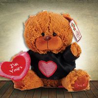 16cm Love Teddy with Heart and T-Shirt