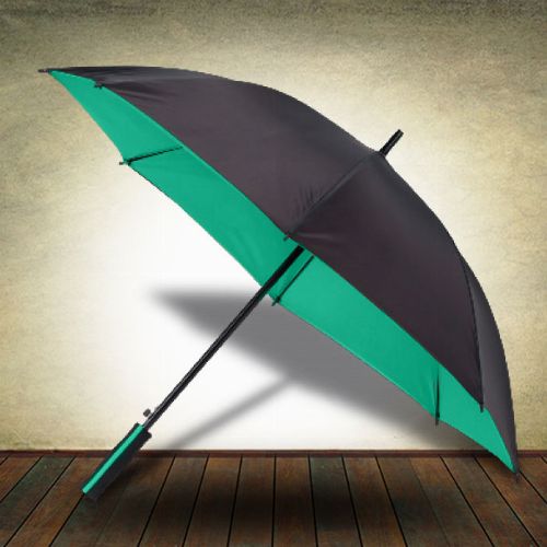 Two Tone Rim Umbrella - Green