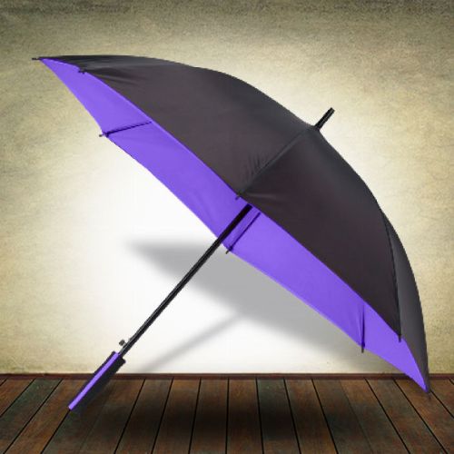 Two Tone Rim Umbrella - Purple
