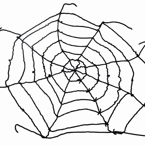 Black Spider Web