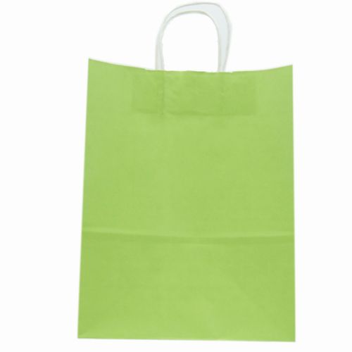 Large Gift Bag Light Green