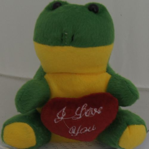 Frog with Heart