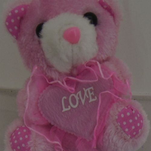Teddy PINK WITH HEART