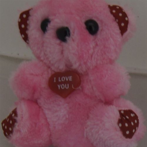 Teddy PINK WITH RED