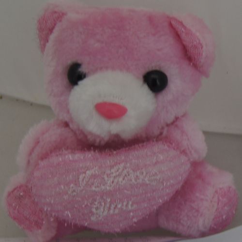 Teddy PINK WITH HEART
