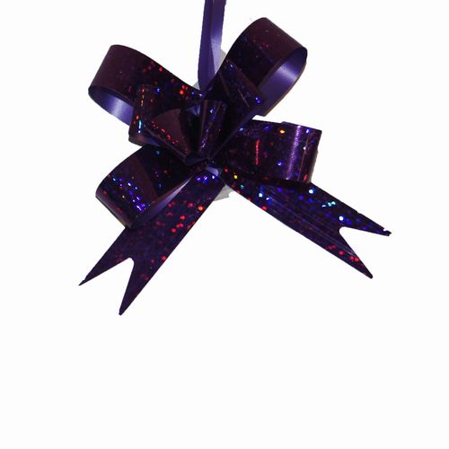butterfly Bows 10 in Pack Purple